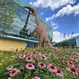 The Children's Museum of Indianapolis