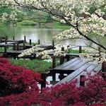 Missouri Botanical Garden