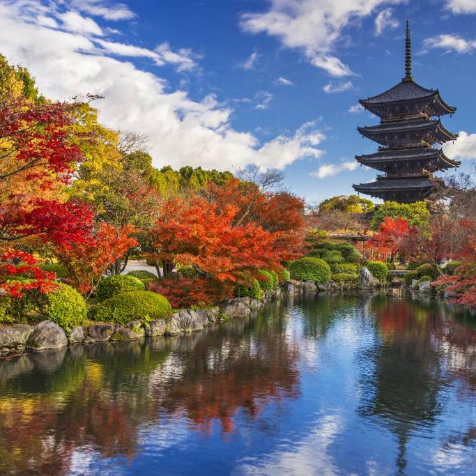 Honeymoon in Japan