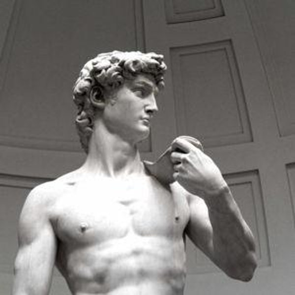 Michelangelo’s David and Accademia Private Tour