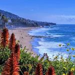 Laguna Beach