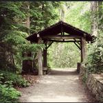 Botanical Gardens at Asheville