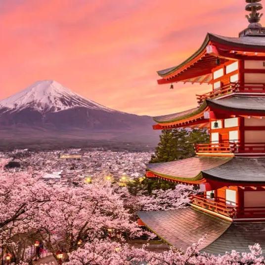 Our Honeymoon Fund to Japan 🇯🇵