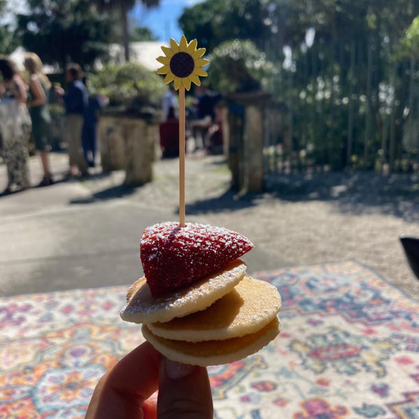 🍯🌙 Honeymoon food fund- 1 month