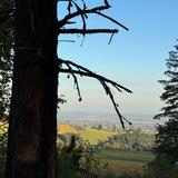 Trappist Abbey Guadalupe Trailhead Loop