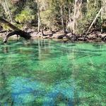 Blue Spring State Park