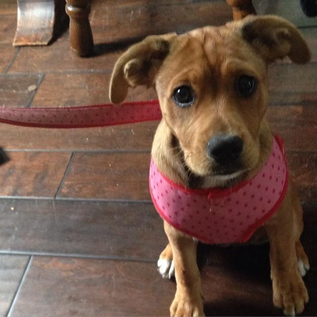 Our baby.