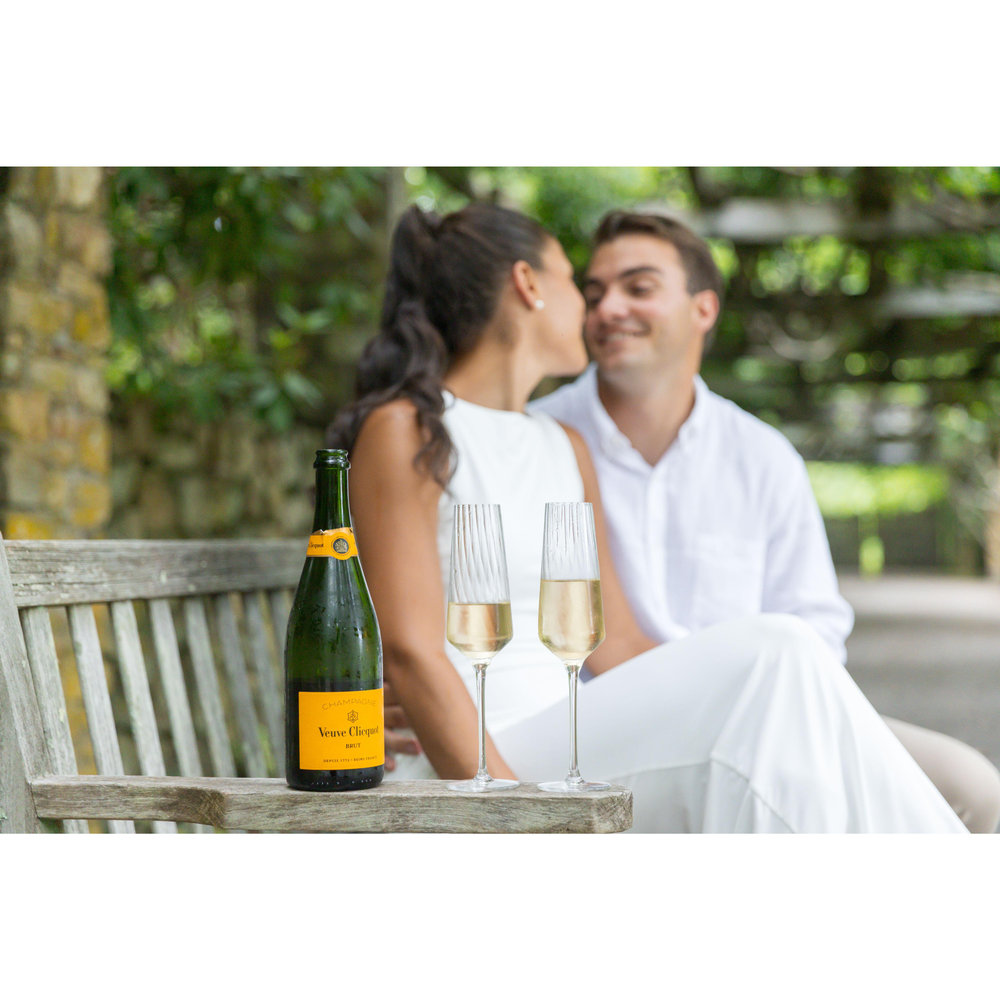 Jana Rothman and John Roscigno's Wedding Website