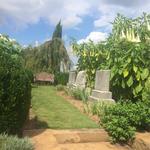 Oakland Cemetery