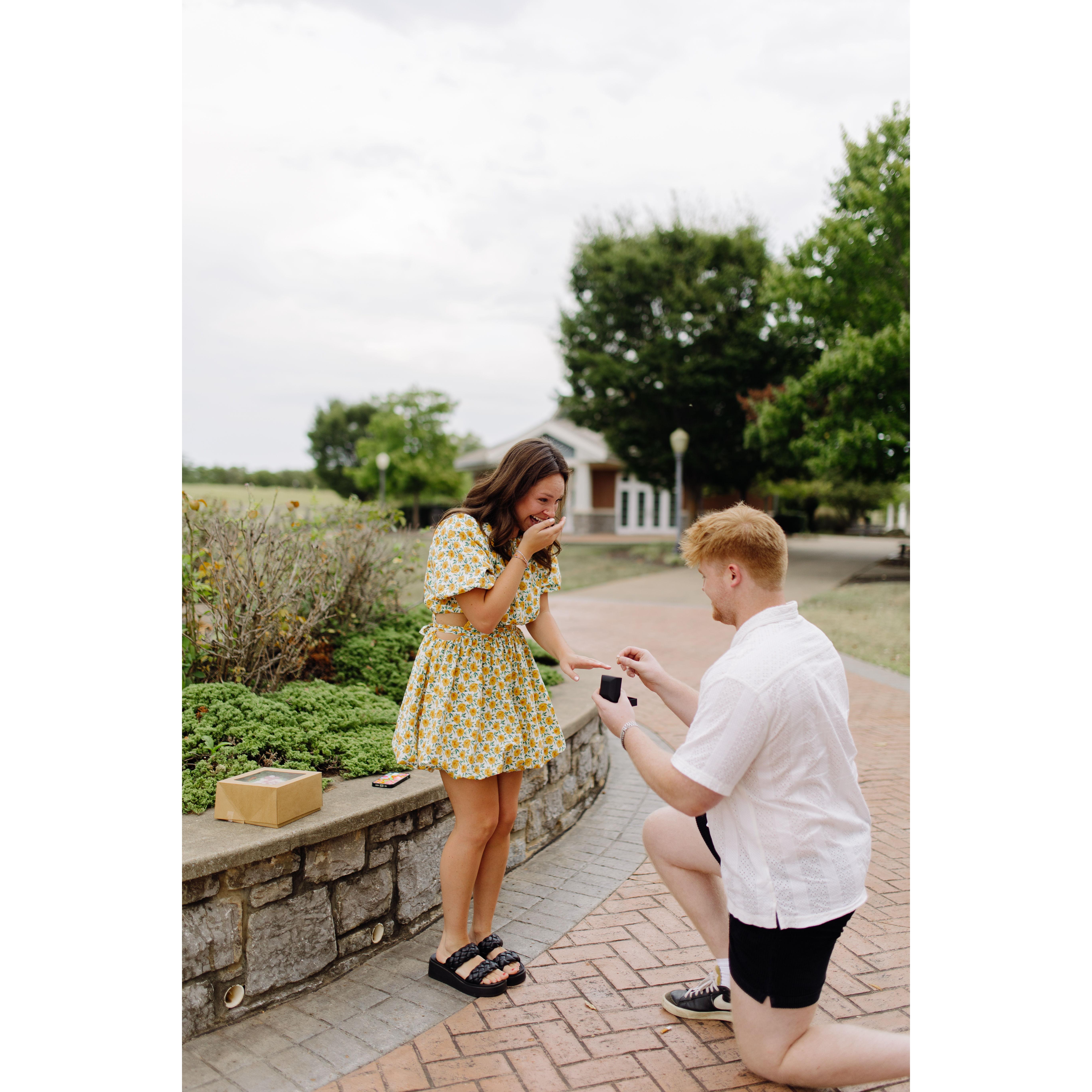 The proposal!