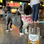 OPE! Brewing Co.