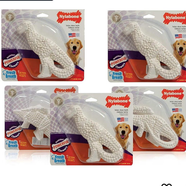 Nylabone 5 Pack of Power Chew Dental Dinosaur, Regular, Assorted Shapes