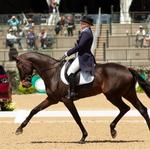 Horse Dressage Wellington, FL