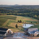 Stone Tower Winery