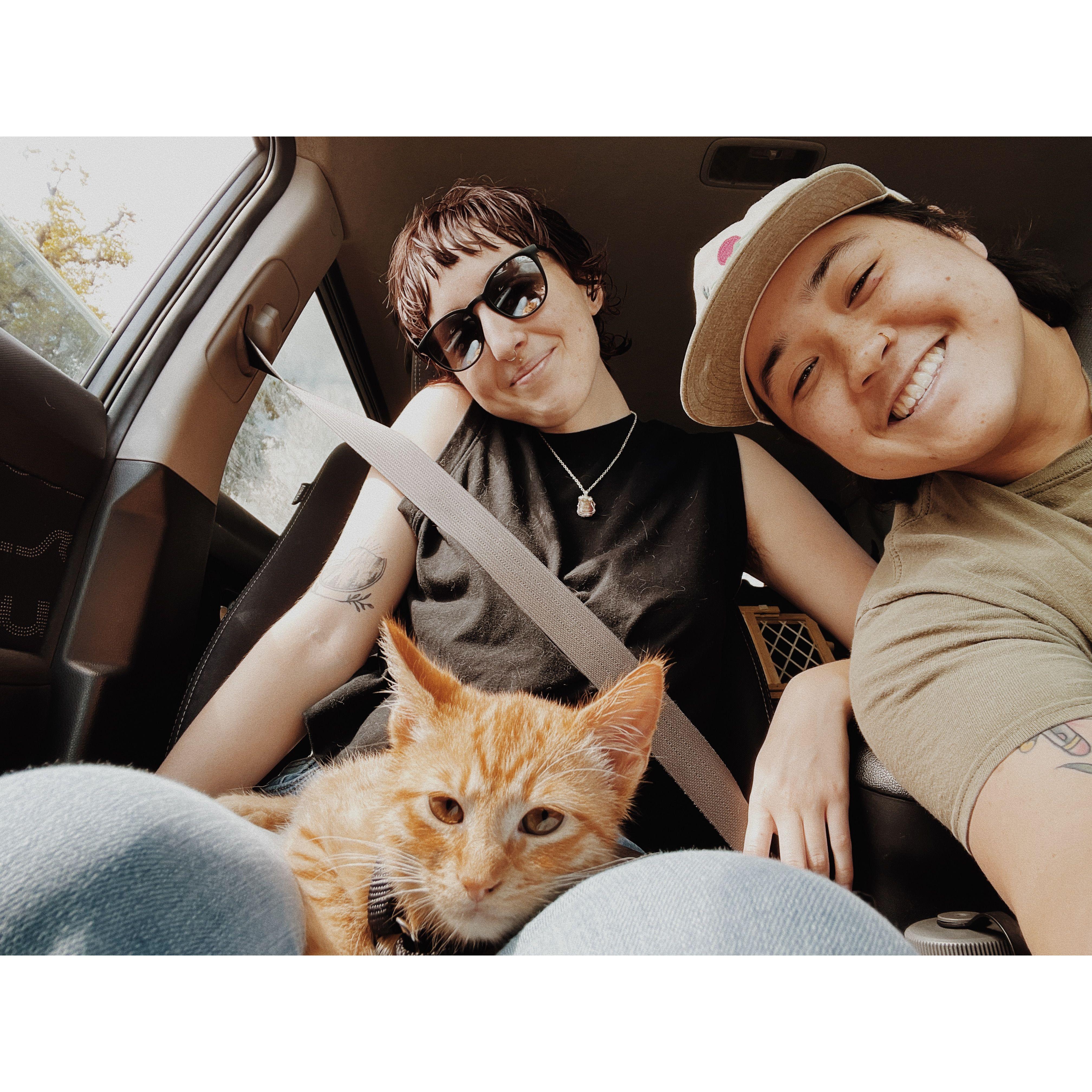 Welcomed our first pet together: little Mort!