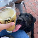 Recon Brewing at Meeder
