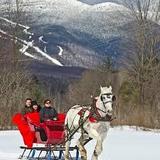Dashing Thru the Snow