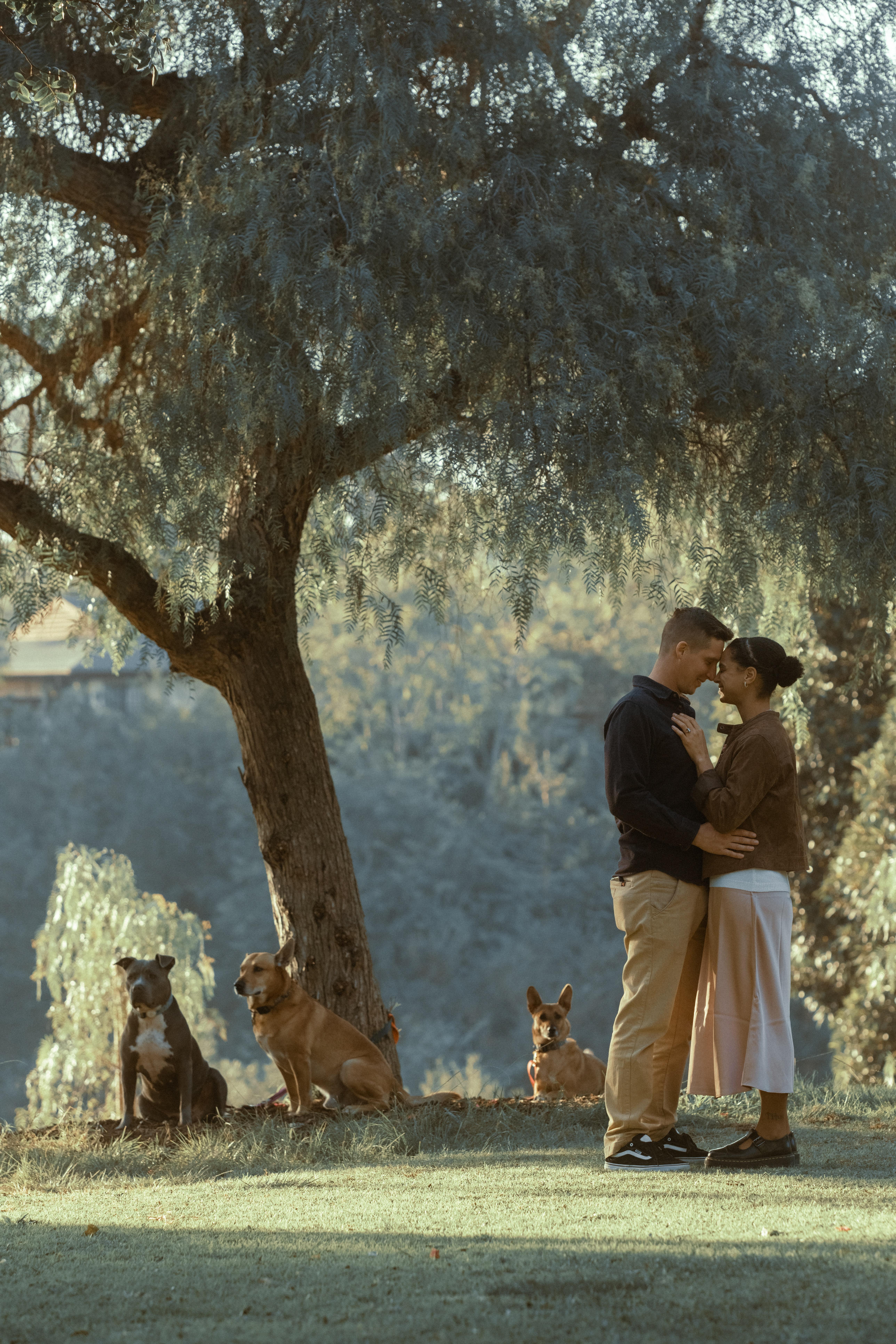 The Wedding Website of Nina Mercedes Rabin and Robin Vetter