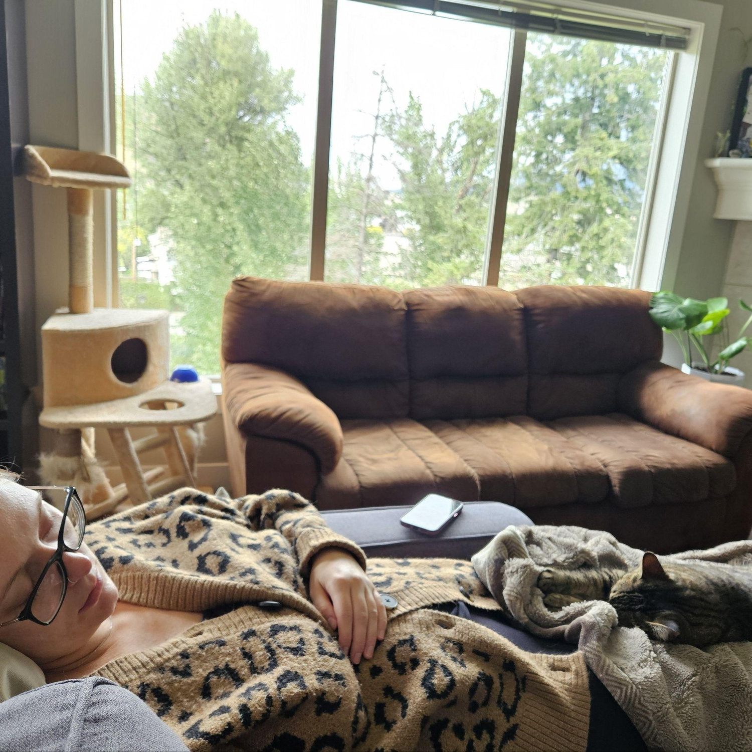 First trimester naps
