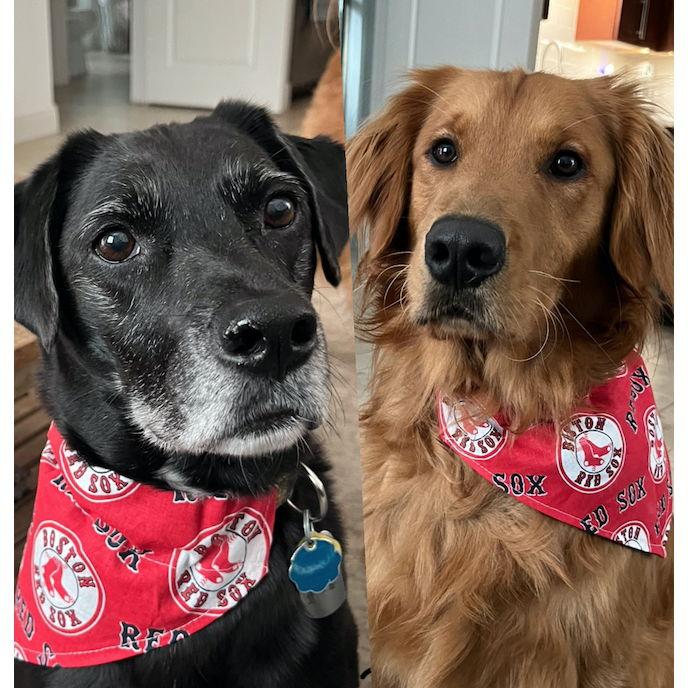 Boston & Waylen