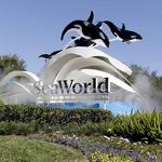 SeaWorld San Diego