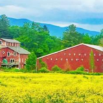 Topnotch Resort