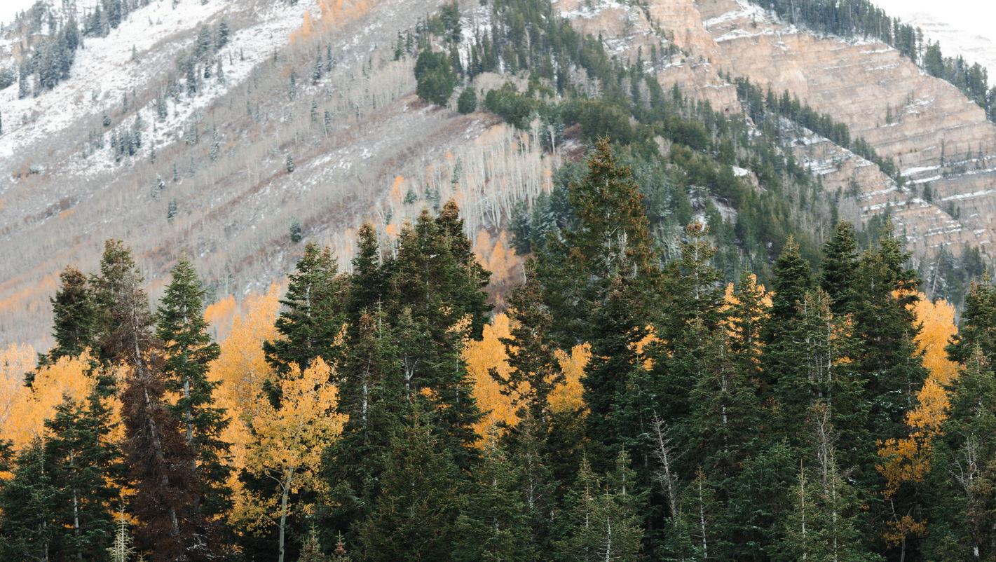 1fa43afe-fc6d-4317-89e4-952f7eb3fde9