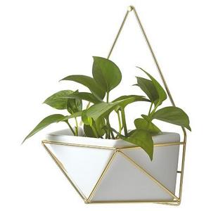 Succulent Hanging Planter