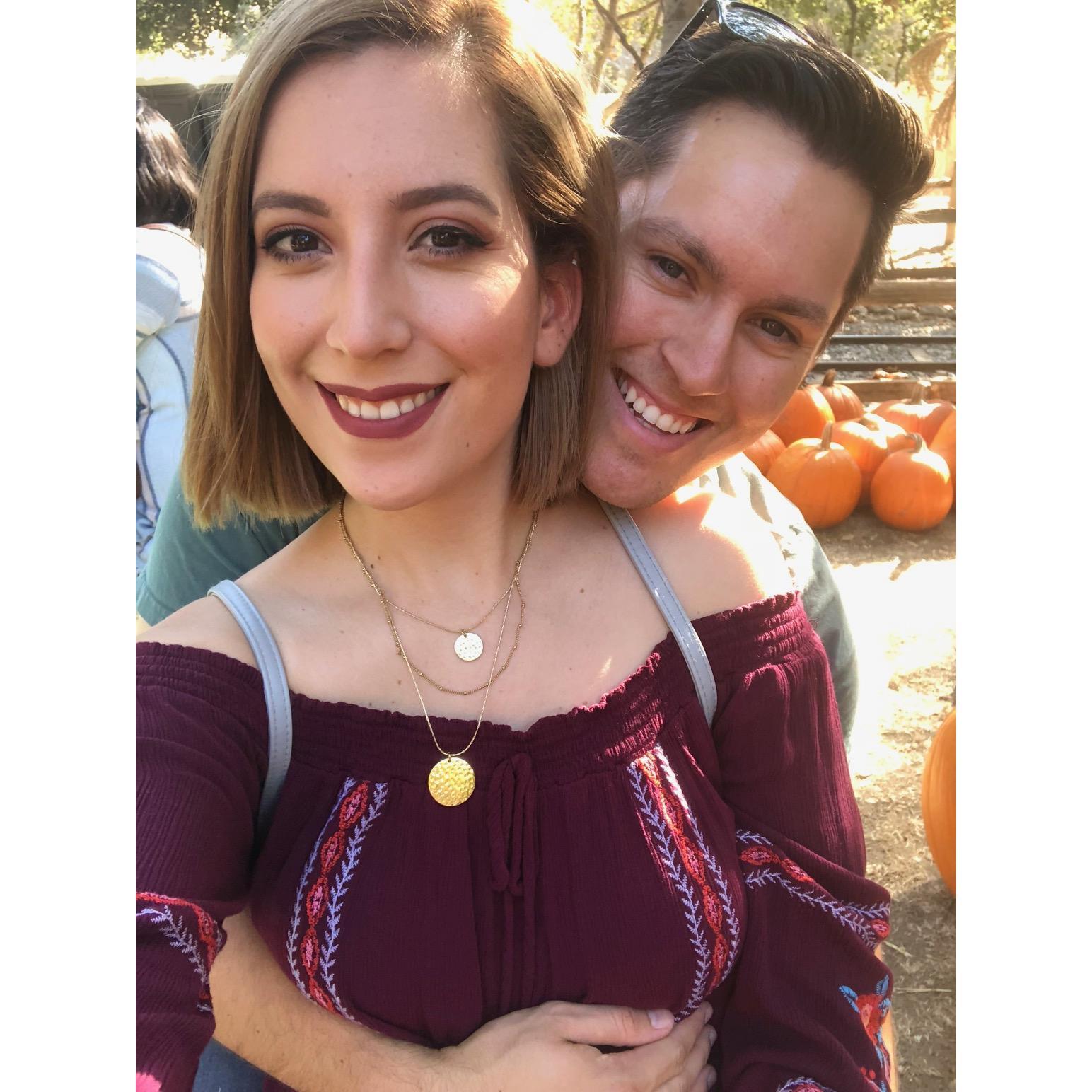 Pumpkin Patch