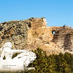 Crazy Horse
