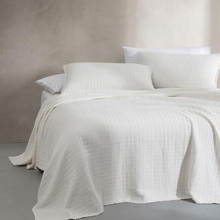 Essential Cotton Jacquard Coverlet