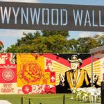 Wynwood Walls