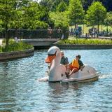 The Woodlands Waterway