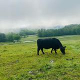 Home Acres Farm