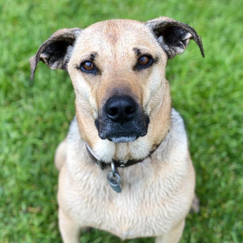 Our Charlie.