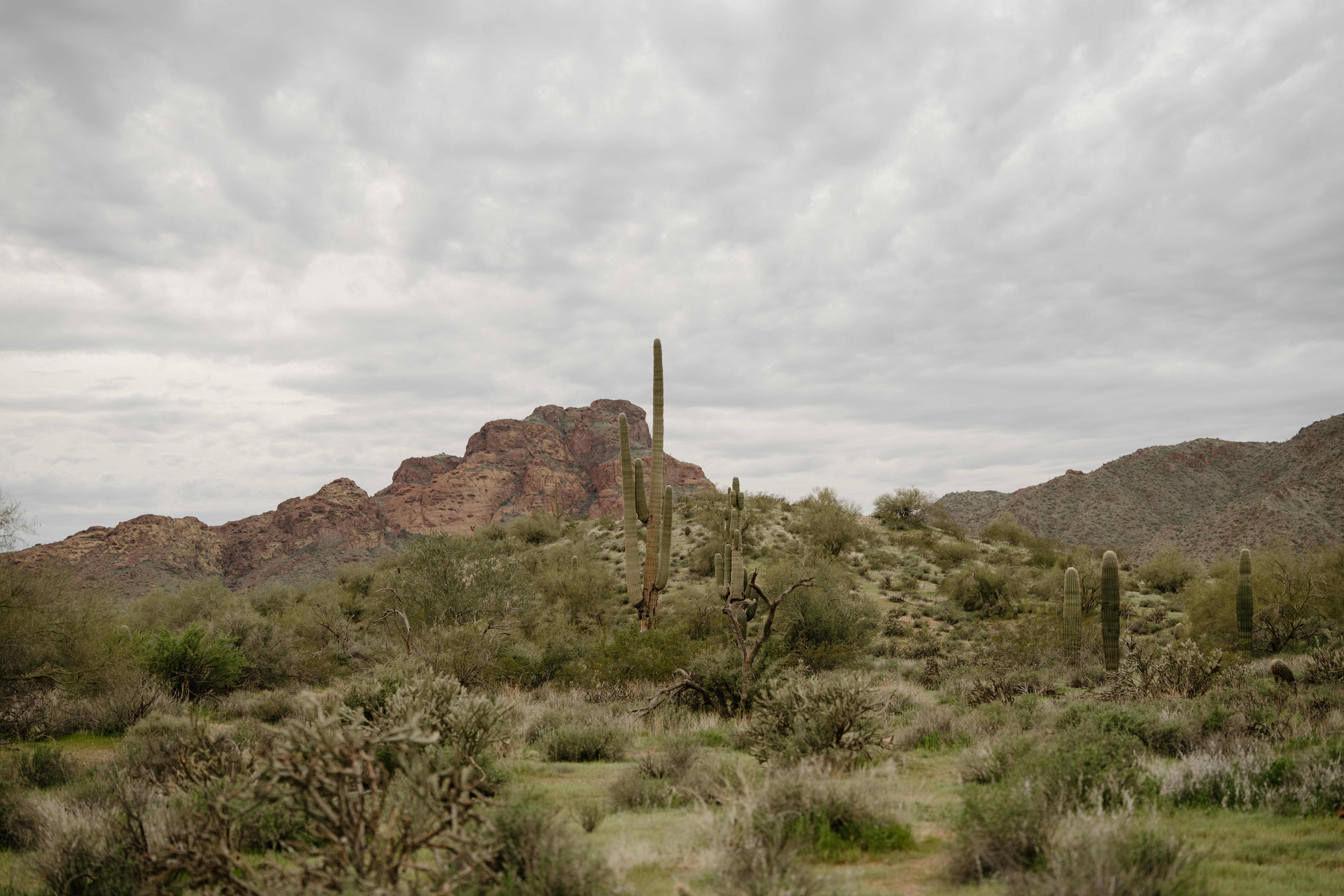 The Wedding Website of Corin Hill and Cole Kjellman