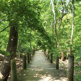 Dora Kelley Nature Park