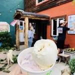 Louie's Ice Cream Shop