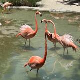 San Diego Zoo