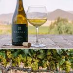 Tolosa Winery