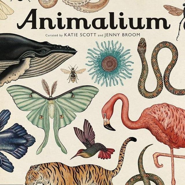 Animalium: Welcome to the Museum