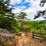 Occoneechee Mountain State Natural Area