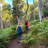 Local Hiking Trails