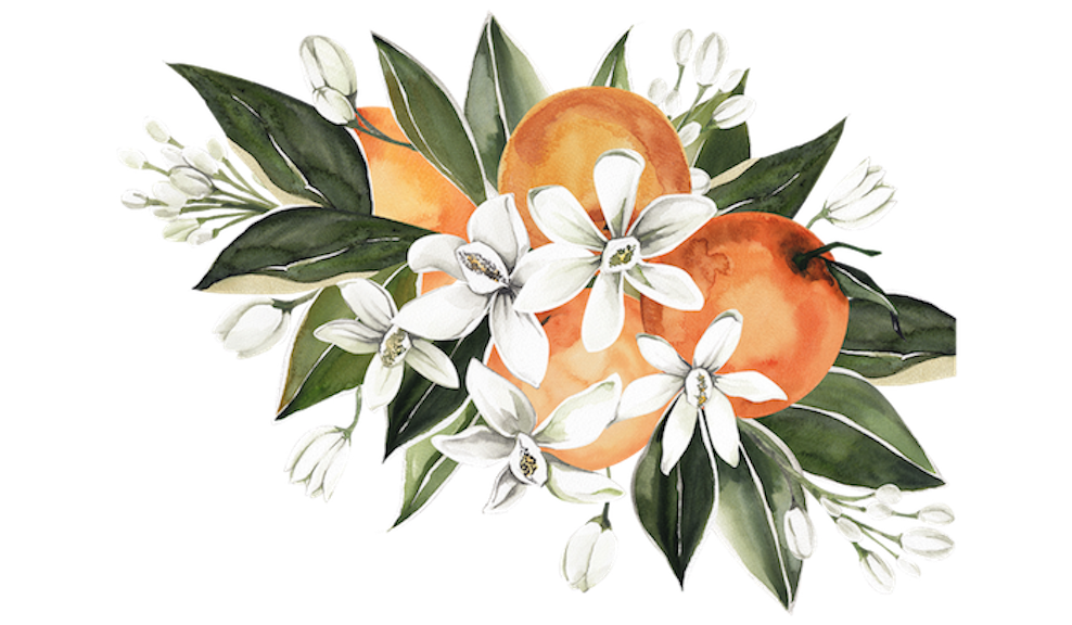 Footer image