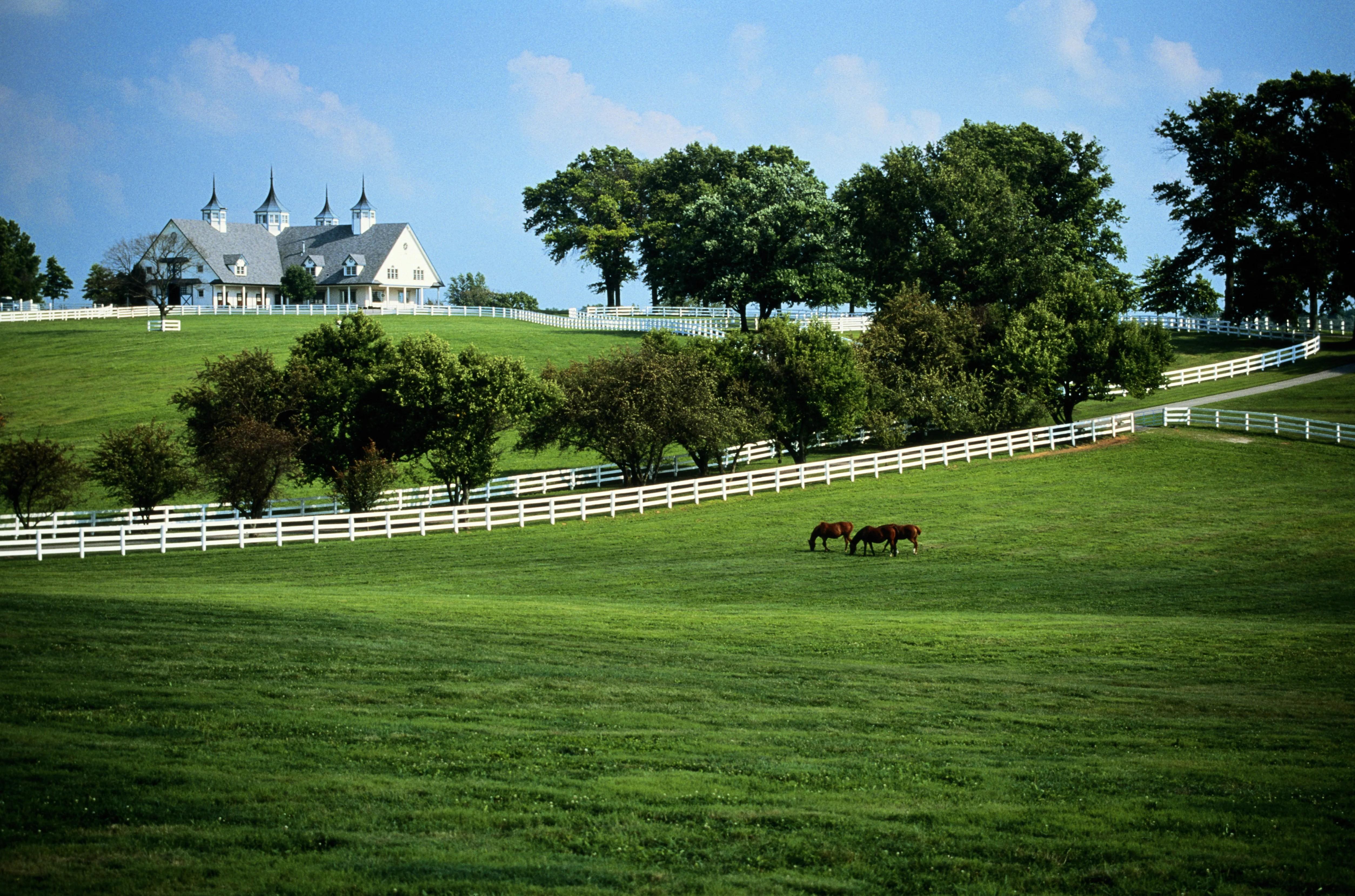 The Wedding Website of Kat Spezzano and Trey Shoemaker