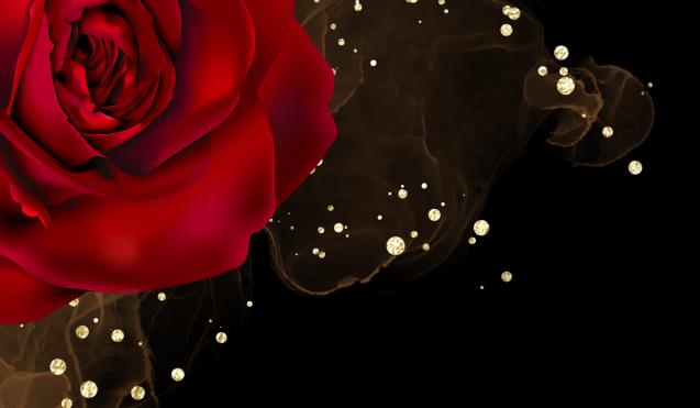 The Wedding Website of Shatoya Miles and Corey Griffin