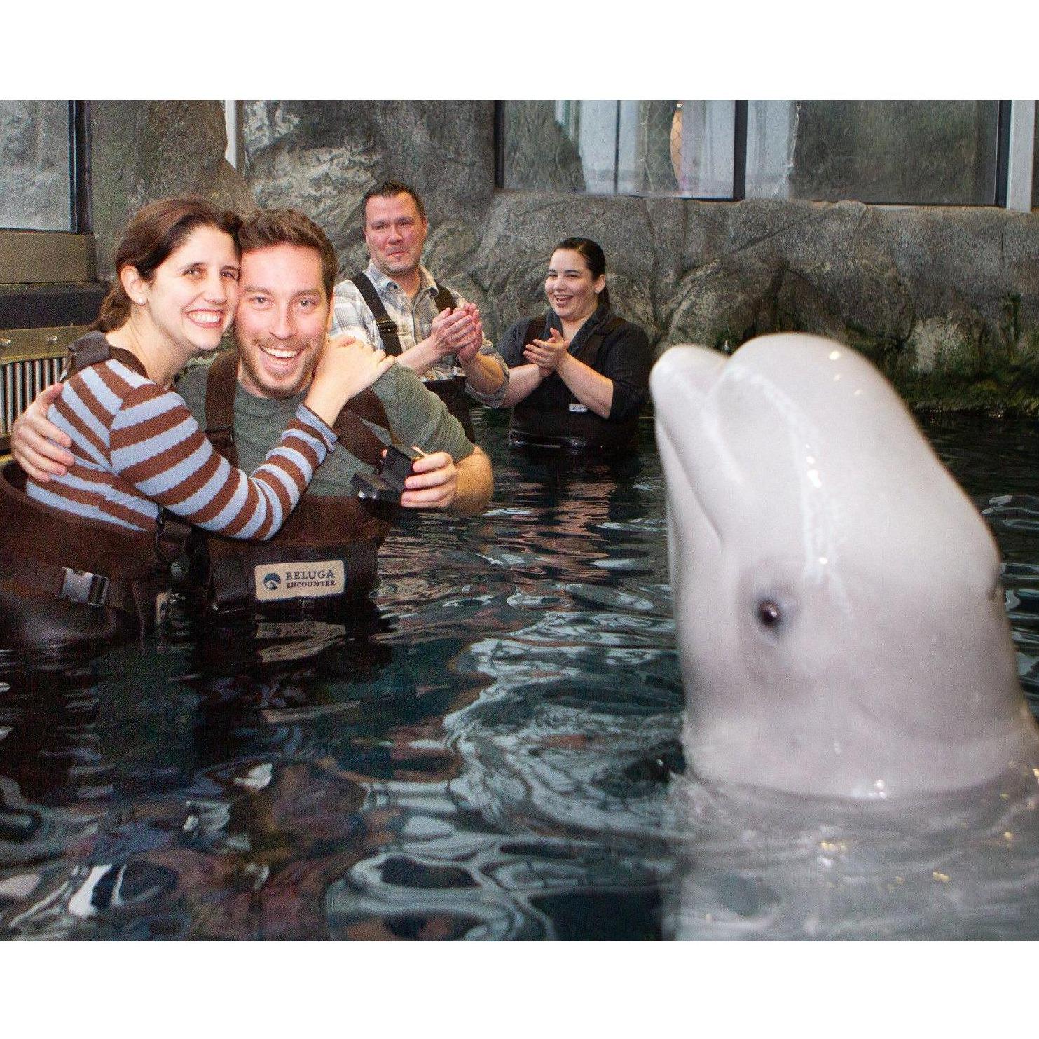 Bella the whale is cuter than we are.