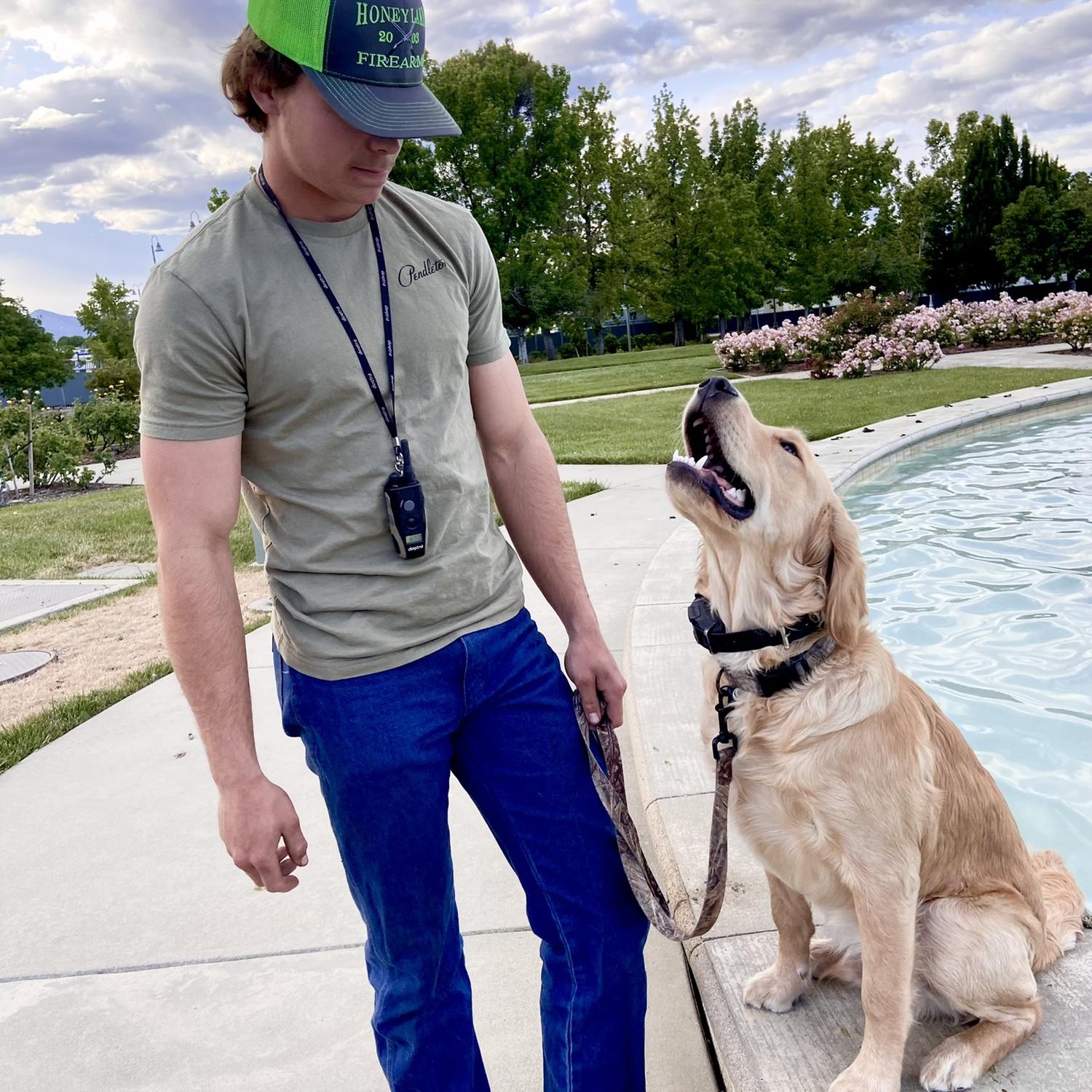 Walks at city hall