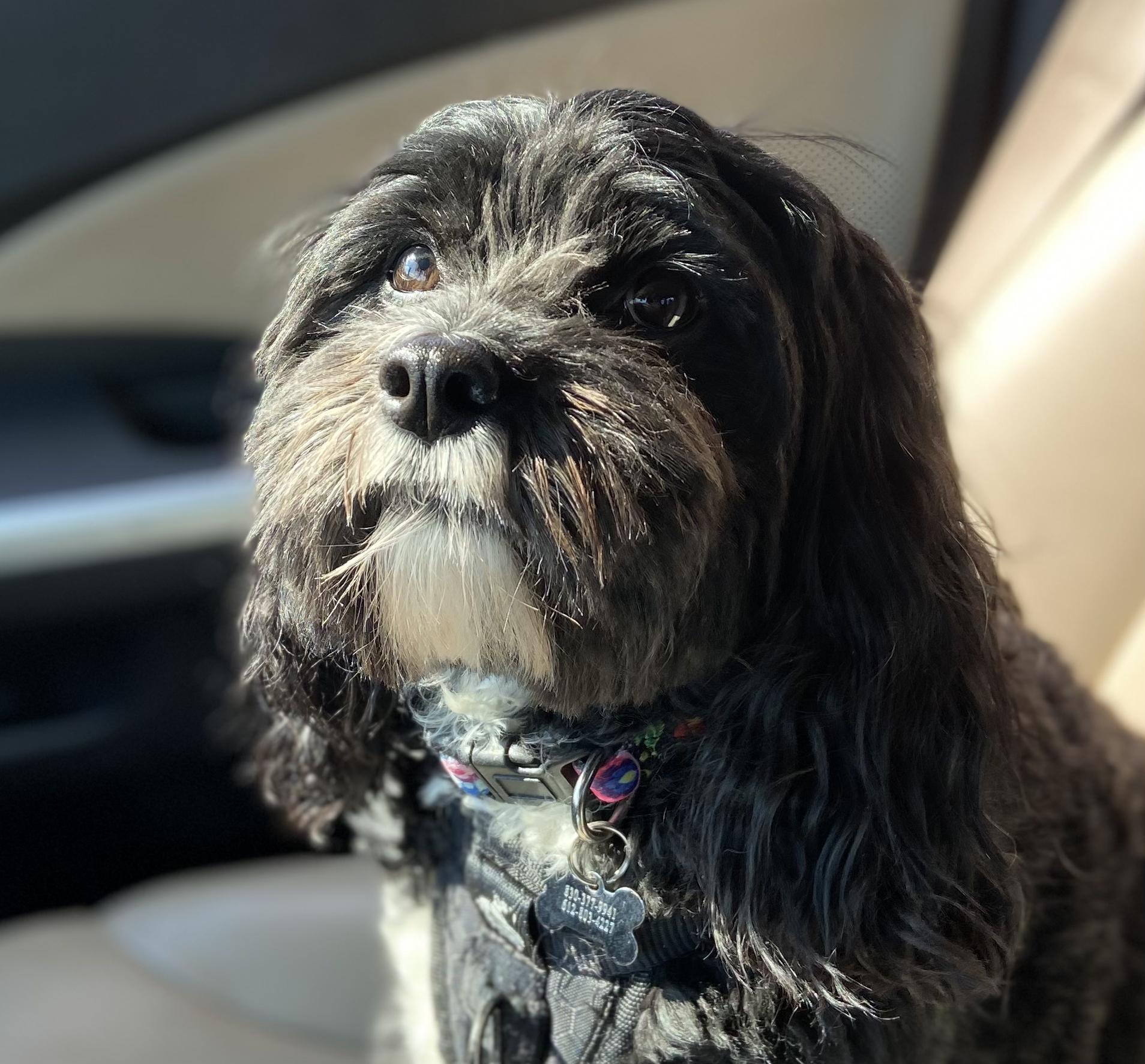 Winnie :)