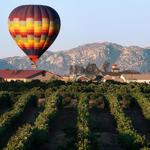 Wine Tasting
